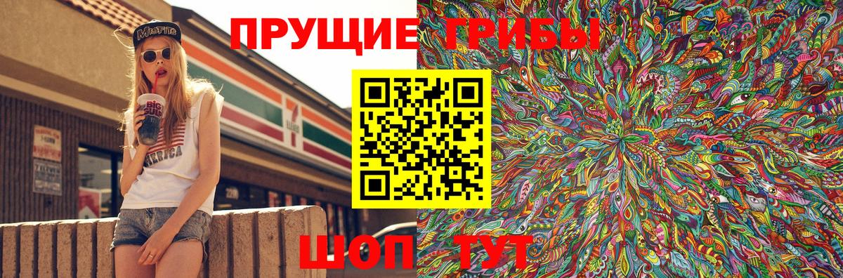 Донецк  Галлюциногенные грибы Cubensis  Вход с VPN 
